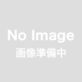 【有償修理】EMG JAPAN(KA)/APS JAPAN商品